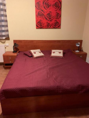 Challet Apartments Dolní Moravice